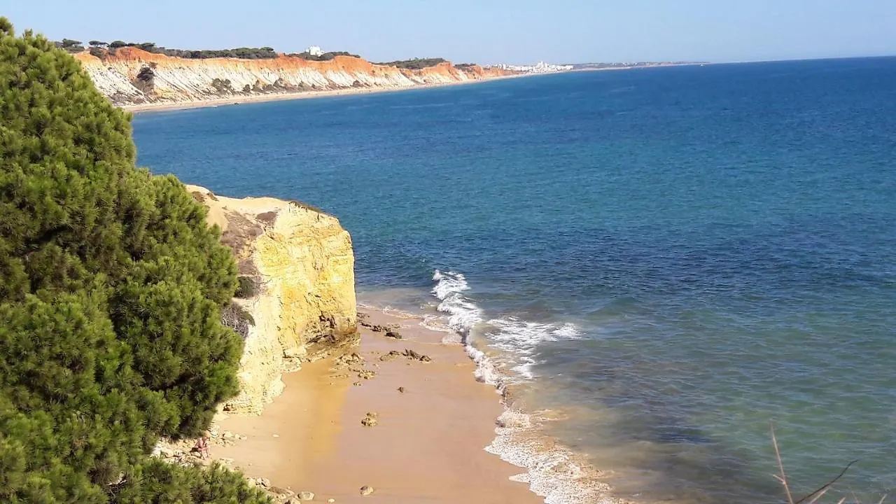 Somar Torre De Medronheira Olhos De Agua Albufeira Apartment Portugal